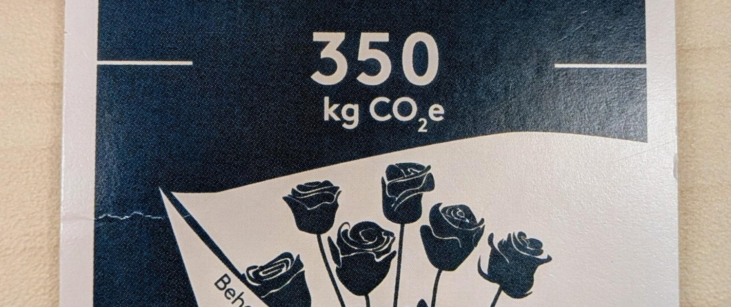 PXL_20260325_100729384~2