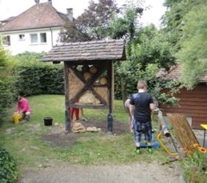 Projekt Wildbienen